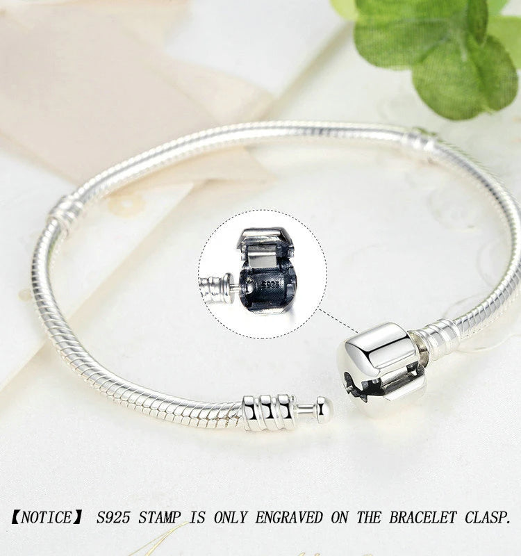 Silver Snake Chain Bangle & Bracelet for Women